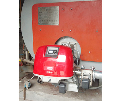 道森DS200EFGR低氮30